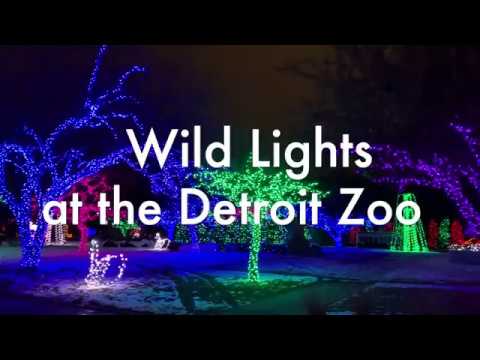 Wild Lights 2019