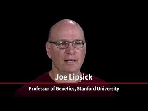 Stanford Faculty Meet Joe Lipsick