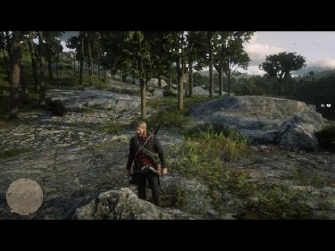 Red Dead Redemption 2 - Elysian pool gold bar treasure