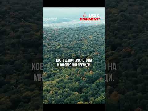 Гората Хоя Бачу - Тайнственият Бермудски Триъгълник на Трансилвания