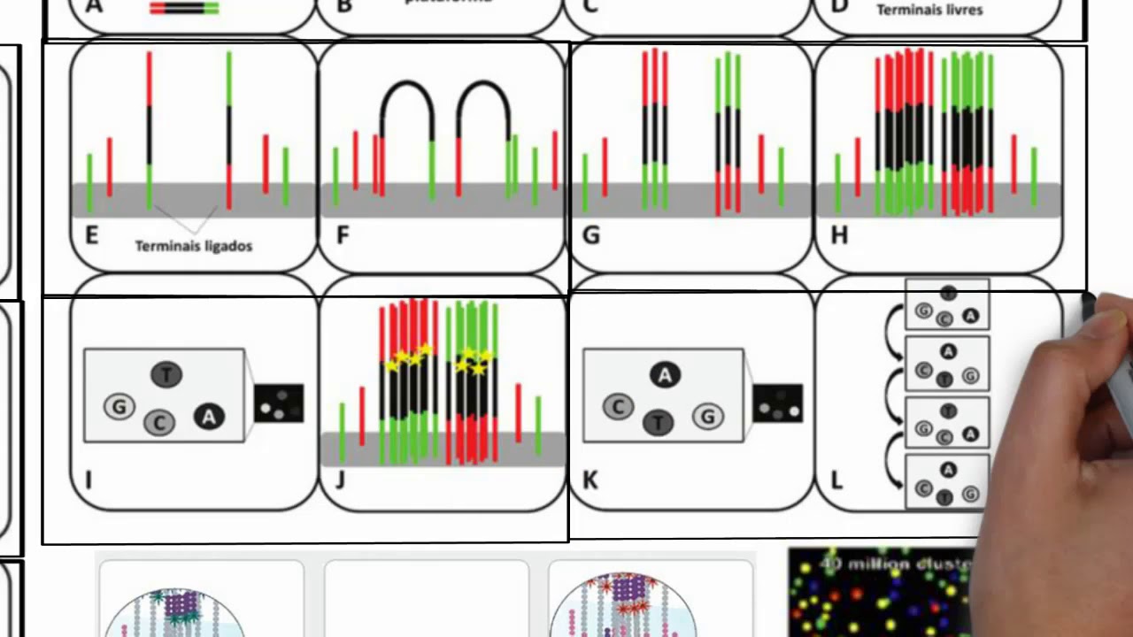 Aula 2.3 - Sequenciamento Genômico - 454, Illumina e Solid - 2º Geração ou NGS