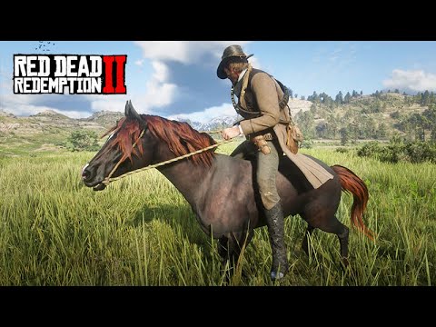 Taming the FIRE HORSE - Red Dead Redemption 2