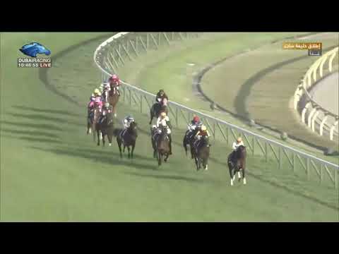 2018.10.28 Tenno Sho (Autumn) - Rey de Oro