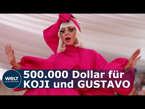 BRUTALER ÜBERFALL: Lady Gaga will 500.000 Dollar Lösegeld zahlen für ihre Hunde zahlen