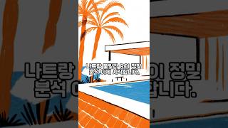 ✈️ 다낭 갈 돈으로 나트랑 풀빌라 '왕' 되는 법