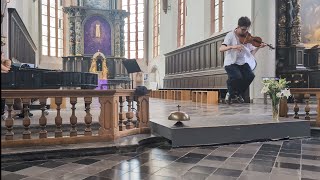 Michael Jackson-Earth Song (Violincover by Ludwig Amadeus-AC,in HD) #michaeljackson#earthsong#violin