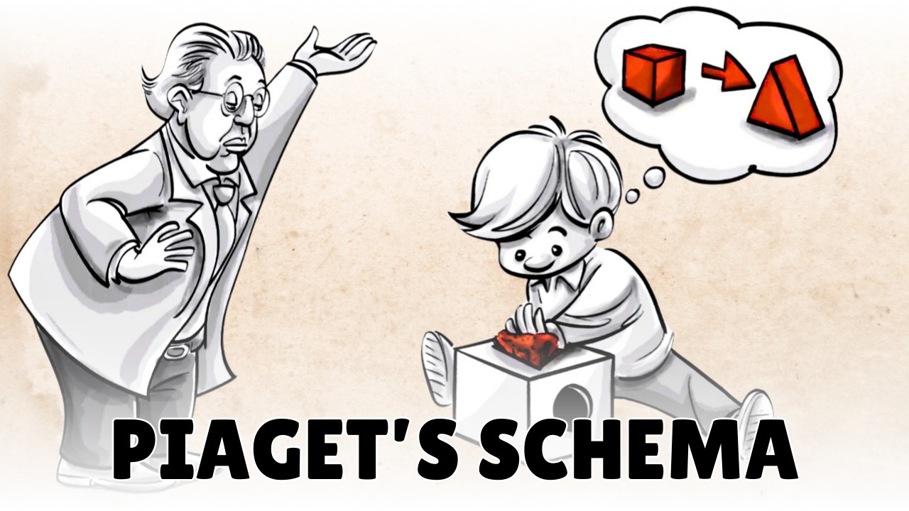 Piaget’s Schema: Accommodation and Assimilation of New Information