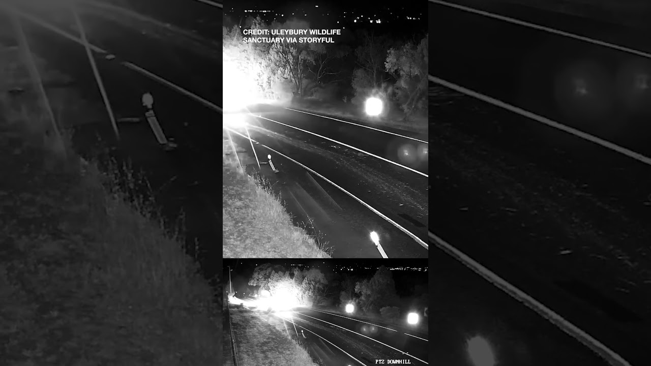 2 Drivers Perform Hay Bale Heist By Squeezing it Between Cars