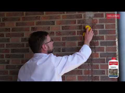 Mellerud Salpeter Entferner