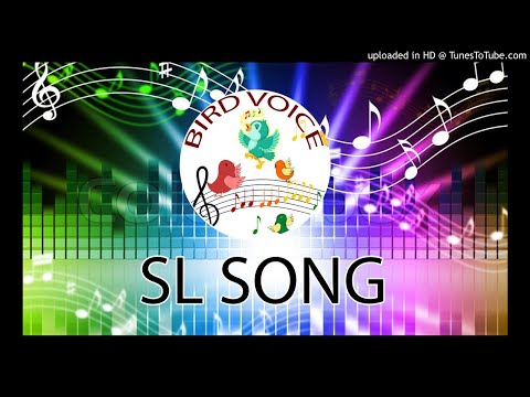 Dedenaatama Hora Rahase | Athula Sri Gamage | අතුල ශ්‍රී ගමගේ