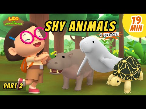 Shy Animals (Part 2/2) - Animals Stories for Kids | Educational | Leo the Wildlife Ranger