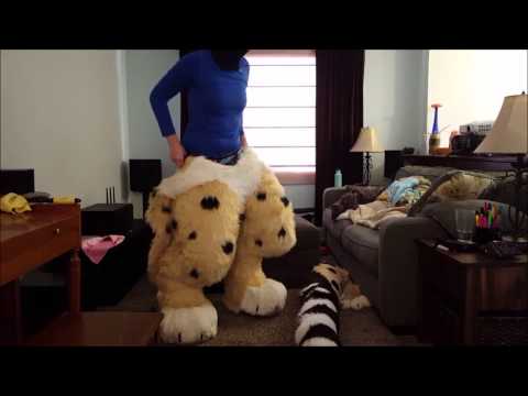 download lagu mp3 mp4 Furry Suit, download lagu Furry Suit gratis, unduh video klip Furry Suit