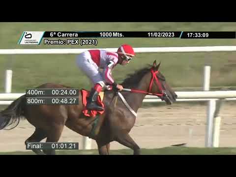 230211 c06 - SHARKY L.P - HIPODROMO LAS PIEDRAS