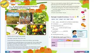 ACADEMY STARS 2 UNIT8  HOW ORANGES GROW