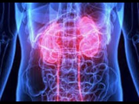 Jak oczyścić nerki według metody Andreasa Moritza? ❤️