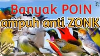 Download lagu Suara Pikat Burung Kecil Terbaru Paling Ampuh Anti Zonk. mp3