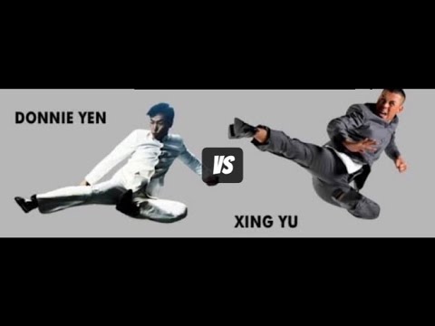 Donnie Yen vs Xing Yu Fight Scene