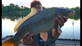 Приманка смерть карася секрет раскрыт