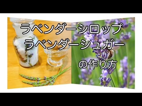自分だけのラベンダーシロップを作ろう 植物
