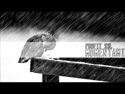 08. Profit SSL - Momentami [PDR EP]