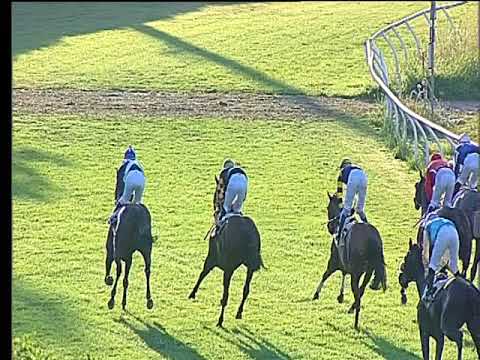 Galoppo 20/07/2018 - 4ª corsa