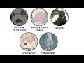 DEEPEST MYSTERIES In Made In Abyss