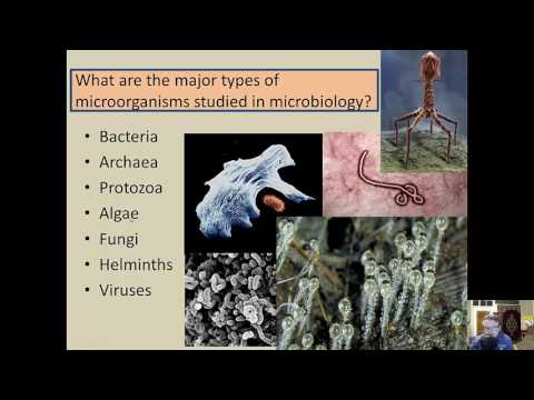 Microbiology - Introduction to Microbiology - Chapter 1 - Part 1.2