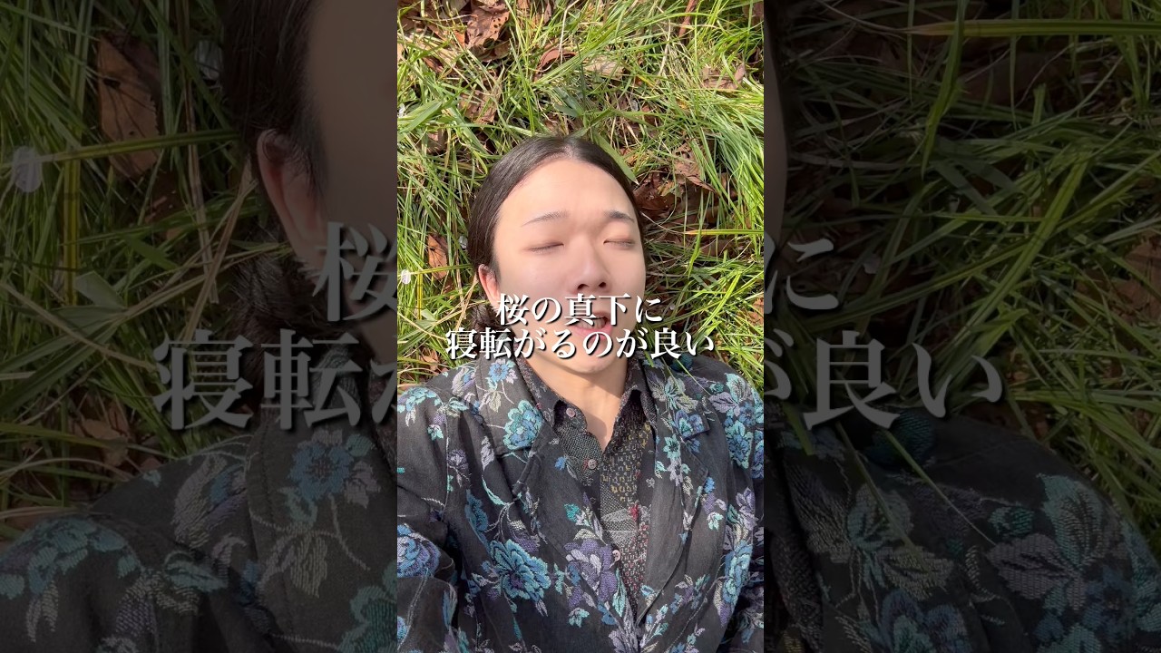 2年ぶりに桜を見るロン毛