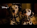 Pongo Y Perdita Se Casan 101 Dálmatas Español Latino HD