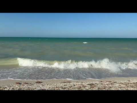 🌟 Discover the Vibrant Lifestyle of Progresso Beech 🌊 | Texas Living Vlog