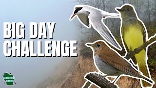 Can We Find 150 Bird Species in 24 Hours?!