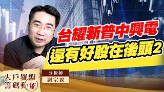 台耀新普中興電還有好股在後頭2 (圖)