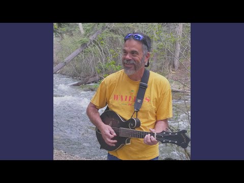 My Stinkin Guitar - David Thibadeau