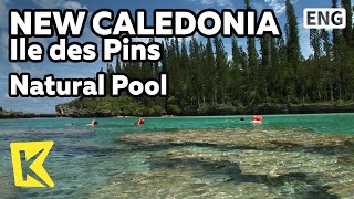 【K】New Caledonia Travel-Ile des Pins[뉴칼레도니아 여행-일데팽]산호와 열대어로 가득한 자연풀/Natural Pool/Coral/Tropical fish