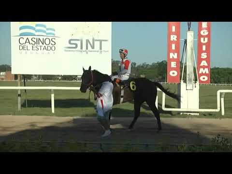 CARRERAS SINT FLORIDA - 211029 c08 1° MACHIAVELLO