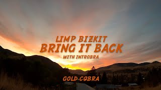 Limp Bizkit - Bring it back with Introbra (lyrics)