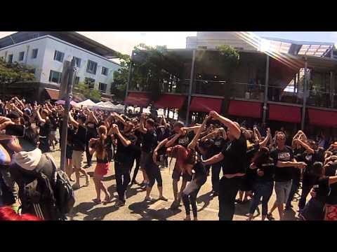 International Zouk Flash Mob (IZFM) 2014 - Brisbane, Australia