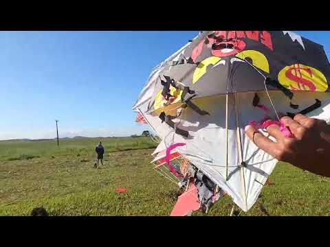 Quase Arrumei BRIGA Por causa de Pipa VOADA!!! 🔥