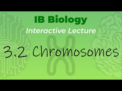 [OLD2016] IB Biology 3.2 - Chromosomes - Interactive Lecture