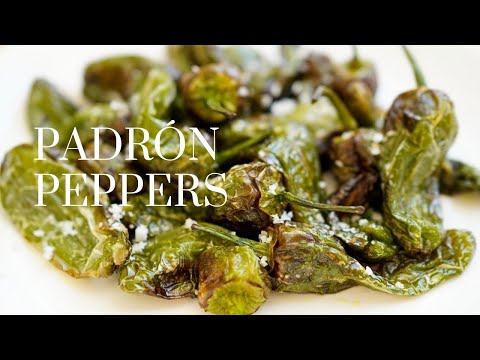 Pimientos de Padrón Recipe パドロンペッパーの作り方 (Spanish padron peppers) 超簡単‼︎スペイン全土で食べられている定番中の定番タパス