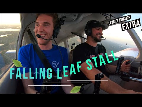 Falling Leaf Stall | LewDix Aviation EXTRA
