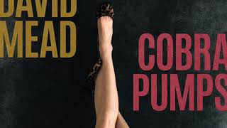 DAVID MEAD- VANESSA (AUDIO from COBRA PUMPS)