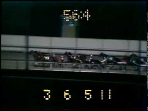 1981 Meadowlands Pace - Conquered & John Hayes Jr.
