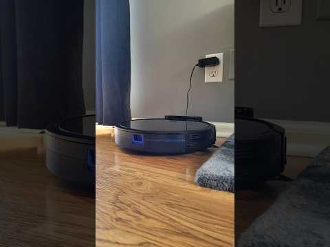Skip Vacuuming: Why Robot Vacuums Are Worth It in 2024