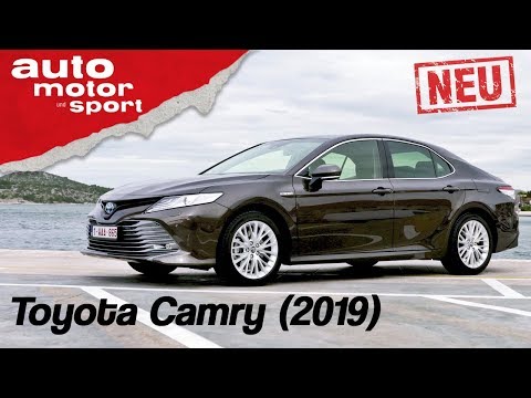 Toyota Camry Hybrid (2019):  Gelungenes Comeback? - Fahrbericht/Review | auto motor & sport