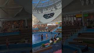 Rehearsals for a new Aqua show on Star of the Seas? #staroftheseas #royalcaribbean