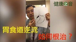 [陳博士的健康之音]胃食道逆流，如何根治？