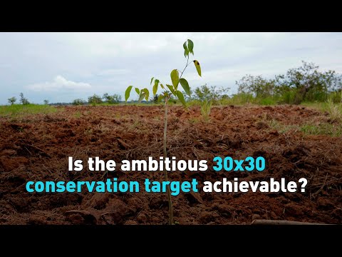 Is the ambitious 30x30 conservation target achievable?