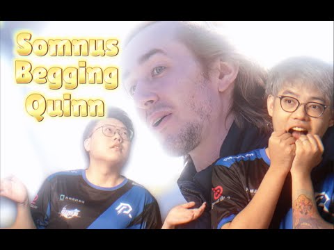 Somnus and Chalice Urge Quinn to Destroy AR? XXS Claims Lou Played Like a Bot