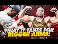 WHAT IT TAKES FOR BIGGER ARMS!